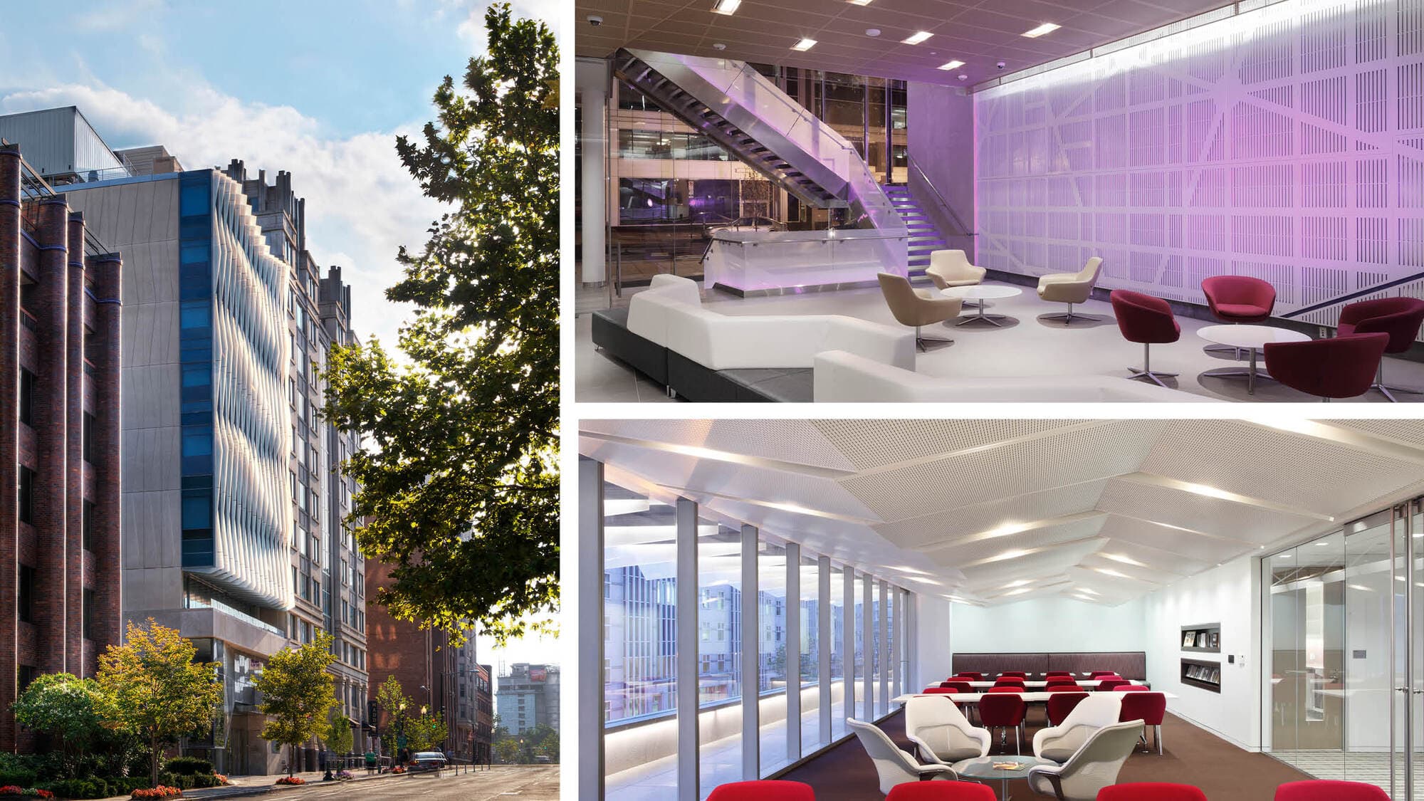 NYU-DC