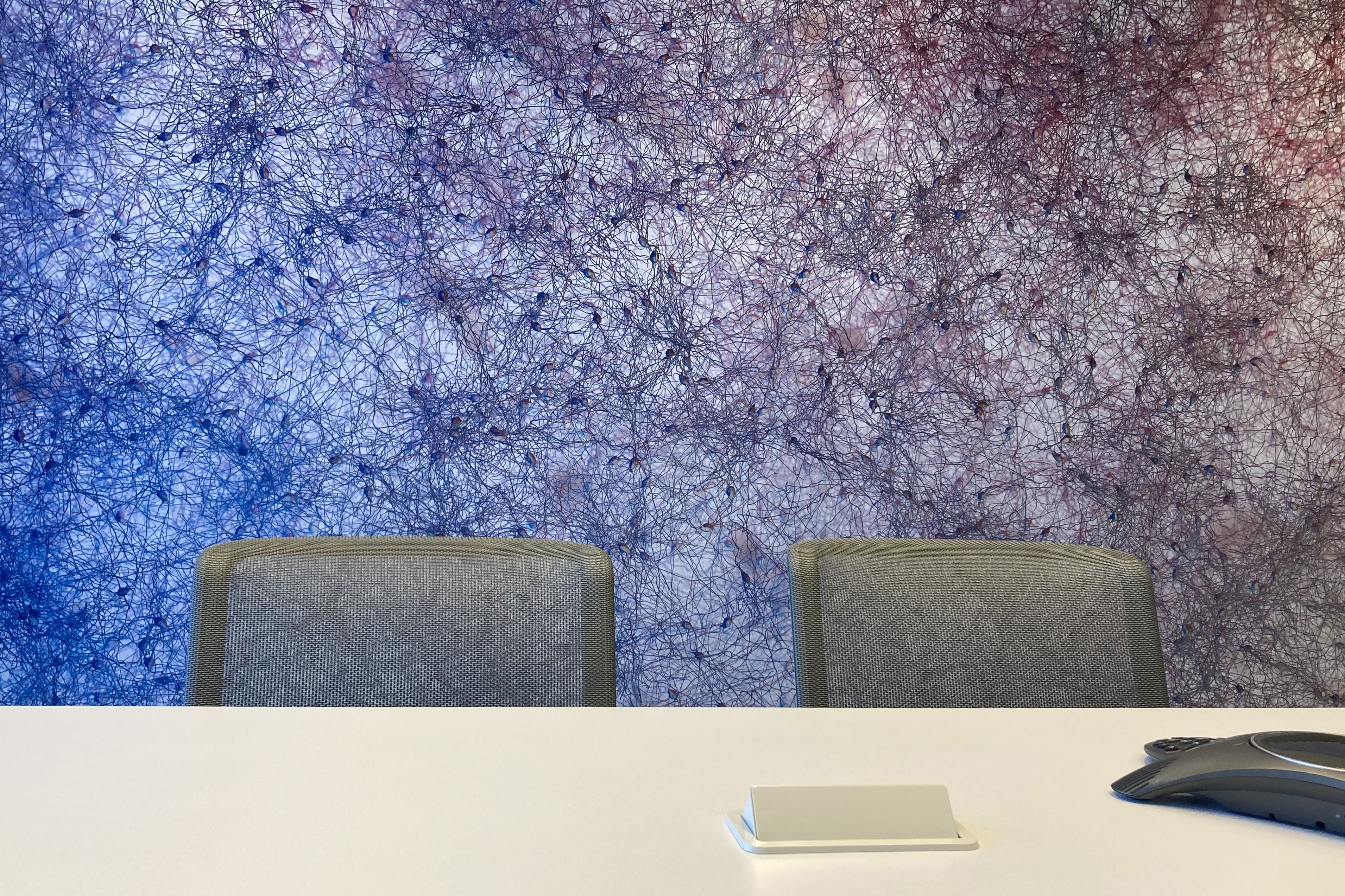 Office interior with art wall