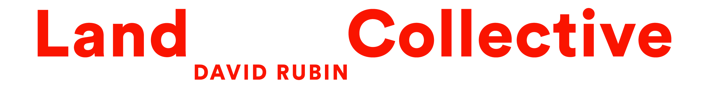DAVID RUBIN Land Collective Logo