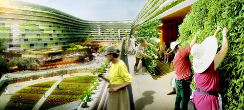 greenhouse 