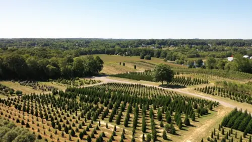 Ruppert Nurseries 